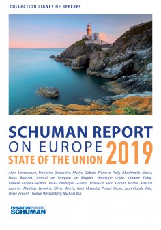 ebook: Schuman report on Europe