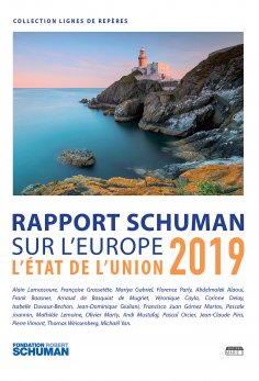 ebook: Rapport Schuman sur l'Europe