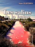 ebook: Les salins de la haine