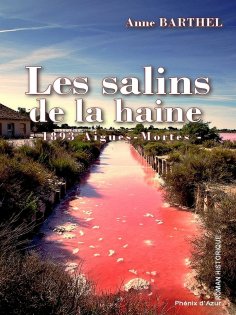 ebook: Les salins de la haine