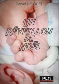 eBook: Un réveillon de Noël