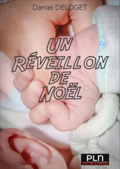 eBook: Un réveillon de Noël