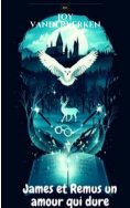 ebook: James et Remus un amour qui dure