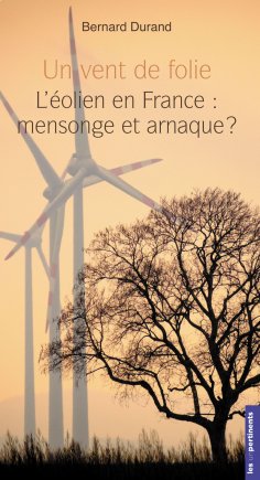 eBook: Un vent de folie