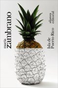 ebook: Isla de Puerto Rico