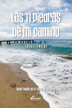 ebook: Las 11 piedras de mi camino