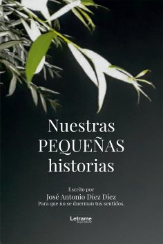 ebook: Nuestras pequeñas historias