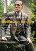ebook: Orillas en tensión. Puente de una escritura dislocada