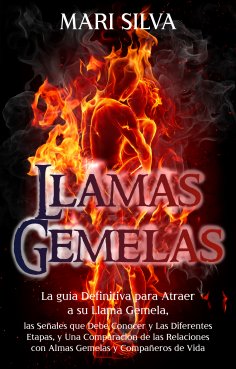ebook: Llamas Gemelas