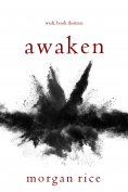 ebook: Awaken (Wish, Book Thirteen)